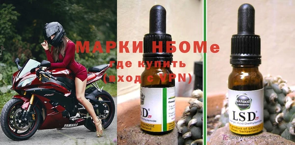 PSILOCYBIN Алзамай