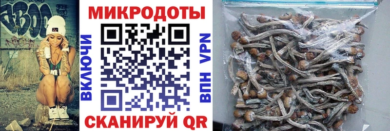 хочу наркоту  кракен зеркало  Галлюциногенные грибы GOLDEN TEACHER  Кириши 